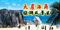 大鸡巴用力网站海南三亚-天崖海角旅游风景区